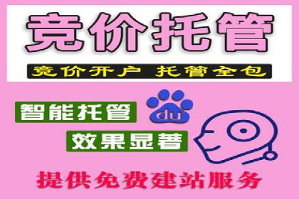SEM竞价推广案例：低成本高效益的秘诀揭秘